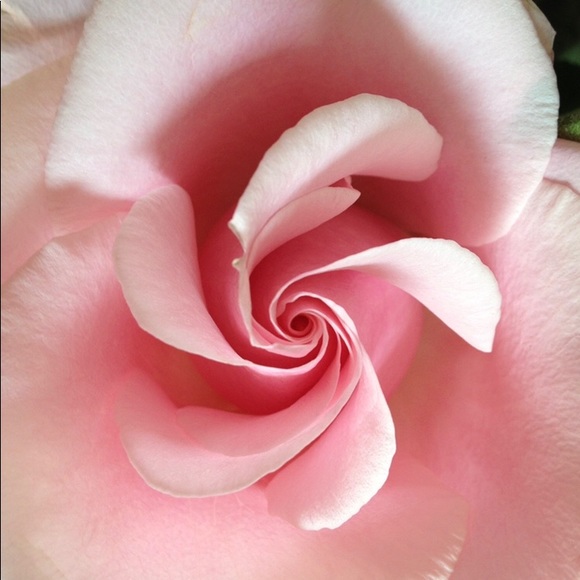 Meet your Posher, Rebecca - Picture 3 of 3